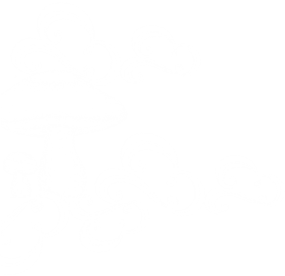 Transparent Mushroom